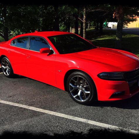 Charger 2015, 2015 Dodge Charger, My Sons, Dodge Charger, Dream Life, Dodge, Bmw Car, Bmw, Quick Saves