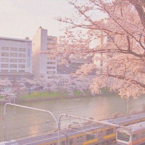 Pink Scenery Aesthetic, Luvsoft Pink, Japan Pink Aesthetic, Luvssoft Pink, Pink Grunge, Pink Nature, Soft Pink Theme, Pink Images, Images Kawaii