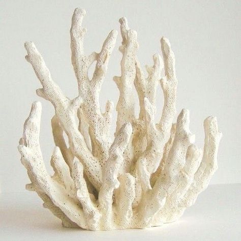 Coral Sculpture, Coral Decor, Coral Art, Sea Coral, Glam Decor, Aquarium Decor, Creative Co Op, White Coral, Coral Reef