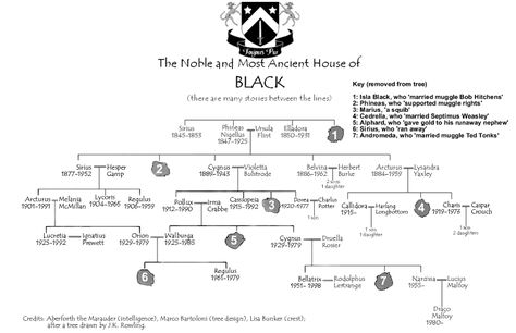 Black family tree, facsimile of tree drawn by J.K. Rowling. Family Tree Wallpaper, Black Family Tree, Harry Potter Family Tree, The Black Family, House Of Black, Harry Potter Sirius, Albus Severus Potter, Ancient Houses, Black Family