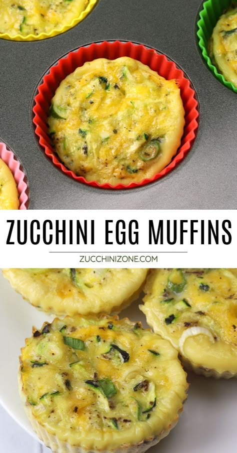 Zucchini Berry Muffins, 1 Cup Zucchini Recipes, Leftover Zucchini Recipes, Lunch Egg Recipes, Zucchini Recipes Shredded, Recipes With Shredded Zucchini, Recipes For Shredded Zucchini, Zucchini And Cheese Muffins, Zucchini Cheese Muffins