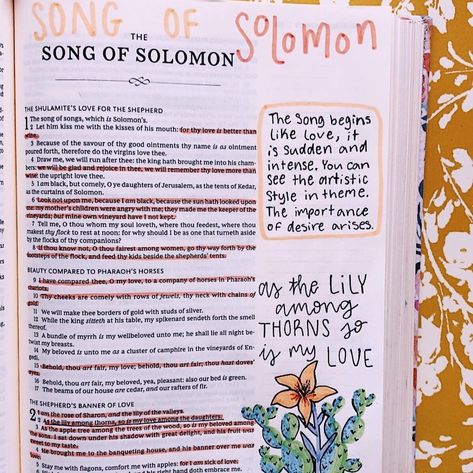 Songs Of Solomon Bible Study, Song Of Solomon Bible Study, Song Of Songs Bible Journaling, Song Of Solomon Bible Journaling, Songs Of Solomon, Solomon Bible, Girl Bible Study, Soap Bible Study, Old Testament Bible