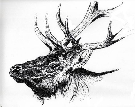 Elk Drawing, Elk Pictures, Bald Eagle Art, Elk Head, Bass Fishing Shirts, Mini Canvases, Pencil Drawings Of Animals, Bull Elk, Eagle Art