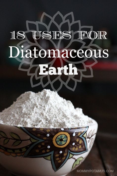 Diatomaceous Earth Food Grade, Acidic Soil, Rose Plant, Talcum Powder, Healthy Garden, Diatomaceous Earth, White Powder, Health Info, Back To Nature