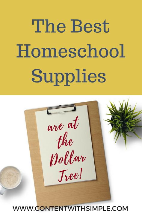 Dollar Tree Homeschool, Minimalist Homeschool, Homeschool Materials, Homeschool Supplies, Homeschooling Ideas, Homeschool Resources, Mom Blogger, Dollar Tree, Saving Money