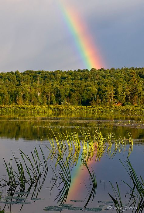 Rainbow Lake, Rainbow Pictures, Summer Vacation Spots, Under The Rainbow, End Of The Rainbow, God's Promise, Rainbow Magic, Afternoon Sun, Rainbow Sky