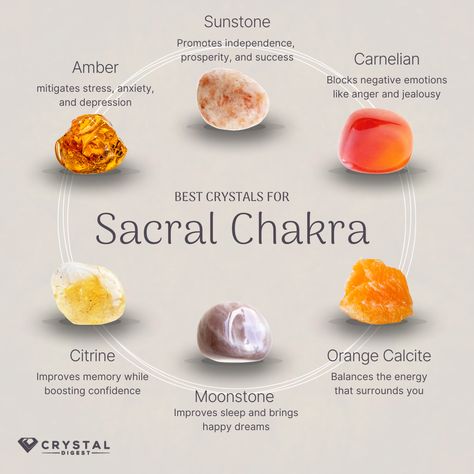 Crystal Corner, Rock Museum, Sacral Chakra Healing, Sacral Chakra Stones, Second Chakra, Chakra Healing Meditation, Crystal Healing Chart, The Sacral Chakra, Supplements Packaging