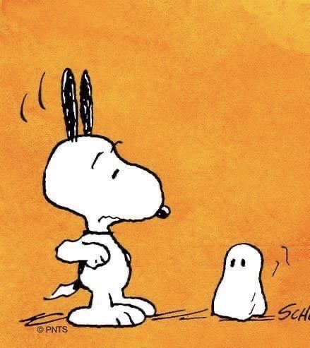 Snoopy Vampire, Halloween Snoopy, Snoopy Tattoo, Woodstock Snoopy, Halloween Humor, Woodstock Peanuts, Snoopy Dog, Charlie Brown Halloween, Brown Autumn