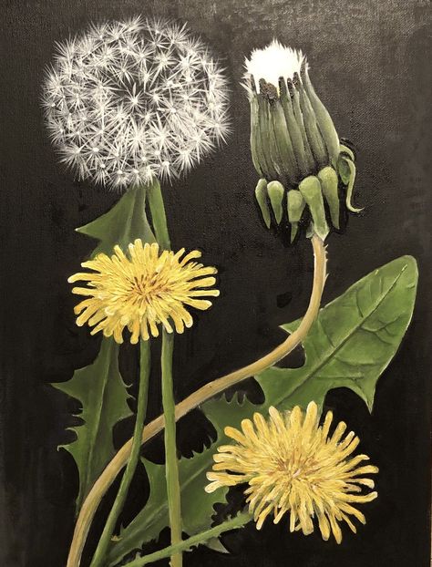 Dandelion Drawing, Dandelion Painting, Dandelion Art, Scratchboard Art, Flower Drawing Tutorials, 강아지 그림, Landscape Art Painting, Sunflower Art, Naive Art