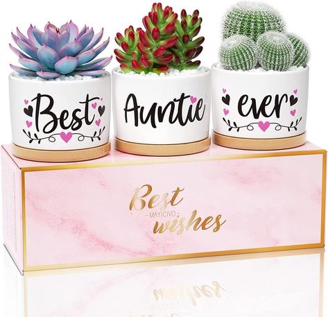 Best Aunt Gifts from Niece Nephew, Mothers Day Gifts for Aunt Auntie, Gift Boxed Aunt Birthday Gifts Auntie Mothers Day Gifts, Best Auntie Ever Gifts Succulent Pots for Plants Indoor Ceramic Planter - 𝘈𝘴 𝘢𝘯 𝘈𝘮𝘢𝘻𝘰𝘯 𝘈𝘴𝘴𝘰𝘤𝘪𝘢𝘵𝘦 𝘐 𝘦𝘢𝘳𝘯 𝘧𝘳𝘰𝘮 𝘲𝘶𝘢𝘭𝘪𝘧𝘺𝘪𝘯𝘨 𝘱𝘶𝘳𝘤𝘩𝘢𝘴𝘦𝘴. Xmas Gifts For Mom, Nurse Practitioner Gifts, Ceramic Succulent Pots, Best Wife Ever, Aunt Birthday Gift, Pots For Plants, Teacher Birthday Gifts, Nurses Week Gifts, Ceramic Succulent