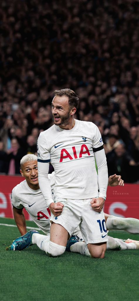 Wallpaper Football Players, Tottenham Hotspur Wallpaper, Tottenham Hotspur Players, Wallpaper Football, James Maddison, James Madison, 4k Wallpaper, Football Wallpaper, World Of Sports