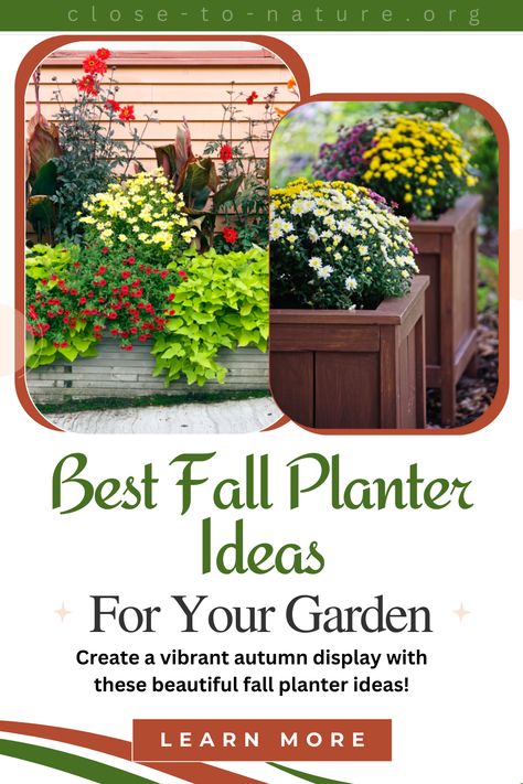 Bring autumn vibes to your garden with these beautiful fall planter ideas! 🍂🌸 From colorful blooms to rustic charm, transform your space for the season. 🍁🪴
 #AutumnGarden  #FallGardening  #RusticGarden #OutdoorDecor #SeasonalPlanters #GardeningIdeas #FallFlowers Fall Planter Ideas, Fall Potted Plants, Fall Pots, Fall Planters, Autumn Display, Planter Ideas, Waste Time, Fall Plants, Closer To Nature