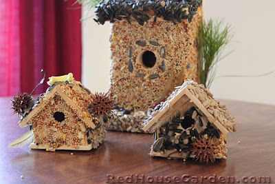 How to make bird seed covered bird houses. Edible Birdhouse, Backyard Crafts, Squirrel Proof Bird Feeders, Bird Watching Gifts, Homemade Bird Houses, Wooden Birdhouse, Black Oil Sunflower Seeds, Wooden Bird Houses, Bird House Kits