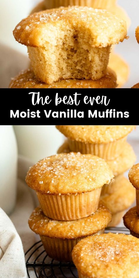 These classic vanilla muffins and moist, tender, fluffy, and made in one bowl. They are filled with vanilla flavor and are the perfect base muffin recipe so you can add many flavors and fillings! No Butter Muffin Recipe, Mini Vanilla Muffins, French Vanilla Muffins, Plain Muffin Recipe Easy, Plain Muffins Recipes, Easy Vanilla Muffins, Vanilla Yogurt Muffins, Moist Vanilla Muffins Recipe, Vanilla Muffins Moist