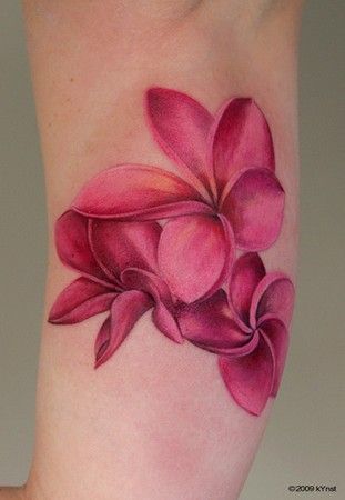 Fiori Frangipani, Hawaii Flower Tattoos, Plumeria Flower Tattoos, Frangipani Tattoo, Orchid Flower Tattoos, Hawaiian Flower Tattoos, Plumeria Tattoo, Tropical Tattoo, Hibiscus Tattoo