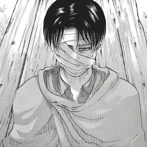 Levi Manga, Attack On Titan Aesthetic, Erwin Smith, Naruto And Sasuke Wallpaper, Captain Levi, Good Anime To Watch, Evil Anime, Cute Tumblr Pictures, Mikasa Ackerman