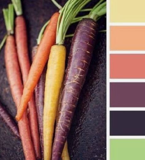 Carrot Color Palette, Carrot Colour, Fruit And Veggie, Story Board, Design Seeds, Colour Palettes, Colour Schemes, Colour Palette, Color Palettes