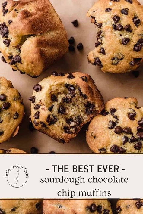 Leftover Starter Recipes, Sourdough Bread Chocolate Chip, Sourdough Chocolate Chip Pancakes, Einkorn Chocolate Chip Muffins, Sourdough Micro Bakery Ideas, Sour Dough Blueberries Muffins, Quick Sourdough Muffins, Sourdough Corn Muffins, Chocolate Chip Discard Muffins