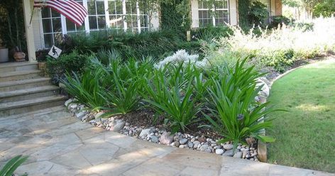 Flowerbeds Front Of House Texas, Southern Texas Landscaping, Austin Texas Front Yard Landscaping Ideas, Texas Landscaping Ideas, South Texas Landscaping Front Yards, Texas Landscape Ideas Front Yard, Front Yard Landscaping North Texas, Central Texas Front Yard Landscaping Ideas, Front Yard Landscaping Texas