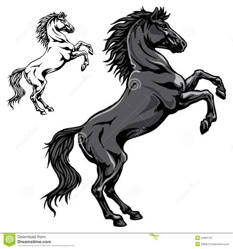 Black horse. Illustration of standing on back legs horse in black and outline #Sponsored , #ADVERTISEMENT, #sponsored, #horse, #black, #outline, #Illustration Legs Drawing, Drawing Stand, Horse Stencil, Lower Leg Tattoos, Drawing Legs, Painted Horses, Horse Sketch, Big Wall Art, Horse Illustration