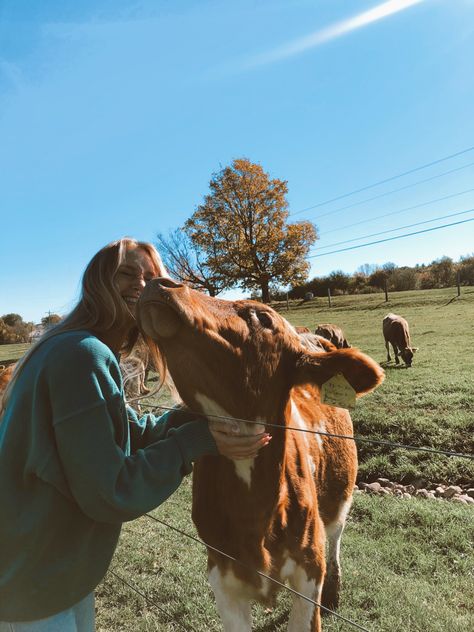 Cows On A Farm, Cow Photoshoot Picture Ideas, Farm Animal Photography, Photoshoot With Cows, Cow Sanctuary, Pictures With Cows, Farm Photo Ideas, Cow Cuddling, Cow Photoshoot