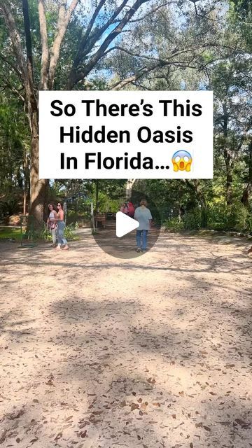 Victoria + Terrence on Instagram: "The most magical hidden gem in Florida!   Put Cedar Lakes Woods And Gardens in Williston Florida on your list! If you are going to Devil’s Den, this is literally 2 min away!!!   Have you visited? I was in awe!  . . . . . . . .  . #reels #adventure #nature #discoverearth #welivetoexplore #wildernessculture #amongthewild #awesomeearth #travel #goparks #ourcamplife #awakethesoul #takemoreadventures #optoutside  #hiddengems #america #usa #earthfocus #floridatravel #roamflorida #floridagirl #bucketlist  #budgettravel #googlemaps #bluewater  #floridasprings #cedarlakeswoodsandgardens #devilsden #northflorida #botanicalgardens" Fun Places In Florida, Only In Florida, Devils Den Florida, Williston Florida, Florida Vibes, Englewood Florida, Lake Camping, Florida Landscaping, Travel Florida