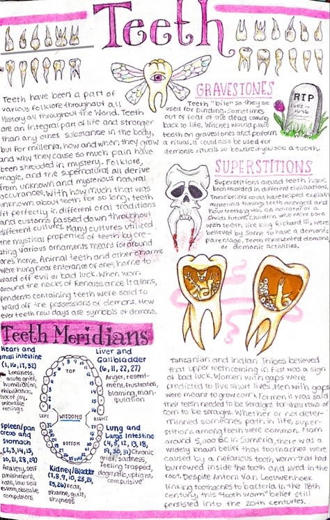 Teeth In Witchcraft, Teeth Witchcraft, Book Of Shadows Inspiration, Book Of Shadows Ideas Inspiration, Witchcraft Notes, Goddess Magick, Wiccan Magic, Witch Spirituality, Grimoire Book