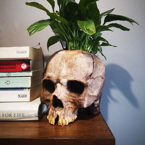 Helloween Decor Planter Home decor Skull Pot, Gothic Statue, Skull Planter, Skull Model, Resin Planters, Skull Flower, Skeleton Decorations, Foam Pumpkins, Flower Pots Outdoor