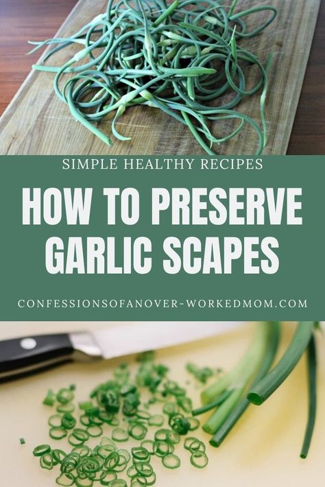 What To Do With Garlic Scrapes, Garlic Scapes Recipes Easy, Recipes For Garlic Scapes, How To Preserve Fresh Garlic, Garlic Scape Recipes, Scapes Recipes Garlic, What To Do With Garlic Scapes, Storing Garlic Scapes, What Can You Do With Garlic Scapes