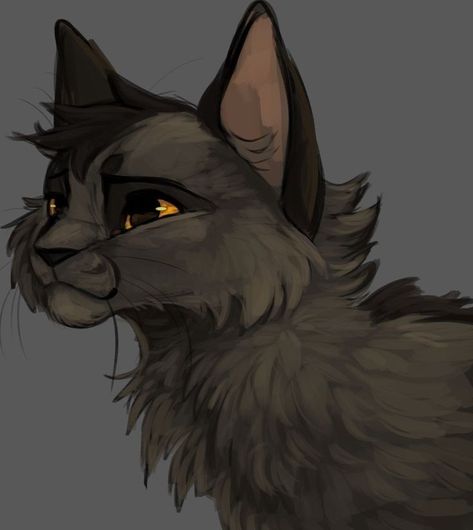 Oc Warrior, Base Ideas, Warrior Cats Fan Art, Warrior Cat Drawings, Warrior Cat Oc, Cat Oc, Warrior Cats Art, Cat Character, Cat Icon