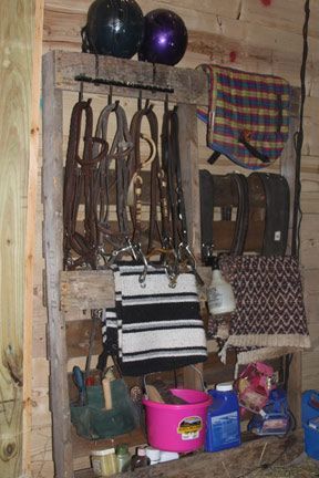 Tack Storage, Barn Organization, Tack Room Ideas, Tack Room Organization, Horse Tack Rooms, Barn Hacks, Tack Rooms, Horse Shelter, Paddock Paradise