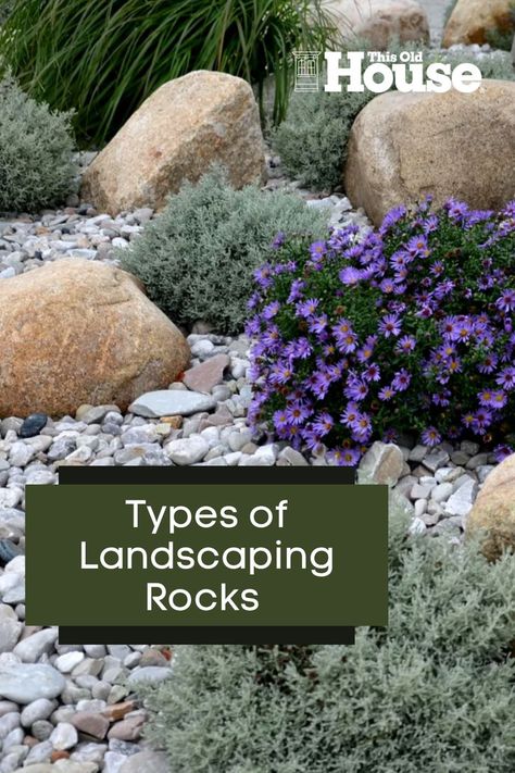 Landscaping rocks add both style and utility to your yard or garden 🏡 Read our guide to learn about the different kinds available. Lawn Edging Stones, Landscaping Rocks, Landscape Rocks, Garden Mulch, Landscaping Rock, Garden Pathways, Mulch Landscaping, Landscape Rock, Stone Landscaping