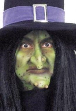 Ugly witch makeup and costume  http://makinbacon.hubpages.com/hub/witchhalloweenmakeuptutorialsideas Scary Witch Makeup, Witch Face Paint, Cute Witch Costume, Witch Nose, Halloween Makeup Witch, Halloween Makeup Clown, Creepy Halloween Makeup, Scary Witch, Clever Halloween Costumes