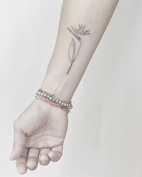 Bracelet Tatoo, Bird Of Paradise Tattoo, Minimal Inspiration, Art Inspired Tattoos, Small Girly Tattoos, Paradise Tattoo, Small Tattoos With Meaning, Inspiration Tattoo, Small Tattoos Simple