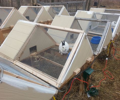 DIY rabbit hutch design. It's safe, sturdy, attractive, predator-proof, tornado-proof, and hurricane-proof. #homestead #rabbits Rabbit Hutch Plans, Indoor Rabbit Cage, Diy Rabbit Hutch, Outdoor Rabbit Hutch, Rabbit Farm, Meat Rabbits, Bunny Hutch, Woodworking Chisels, Raising Rabbits