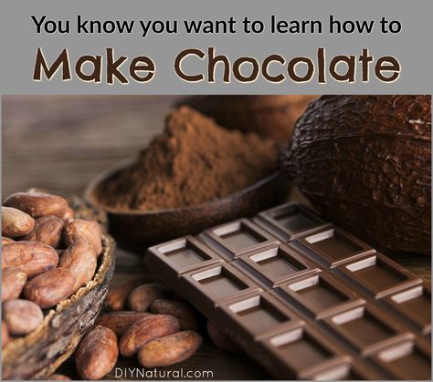 Easy Hot Cocoa Recipe, Chocolate Mars, Homemade Chocolate Bars, Chocolate Candy Recipes, Chocolate Lasagna, Chocolate Recipes Homemade, Hot Cocoa Recipe, Cocoa Recipes, Candy Making