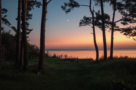 Forest Sunset, Pics Art, Nature Aesthetic, Pretty Places, Sky Aesthetic, A Chair, Photography Inspo, Beautiful Sunset, Aesthetic Photo