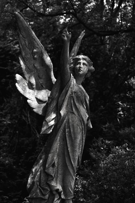 An original fine art print by Denise MacLean.  This beautiful angel statue is located in London, England.  A lovely black and white, fine art print that plays with light and shadow.  A lovely gift for anyone who loves angels. This photo will be printed by a professional lab using archival inks in the finish of your choice (e.g. glossy, matte, lustre or metallic).  To prevent cropping, an 8 x 12 and a 12 x 18 are available. Your print will be shipped directly from the professional lab in a rigid envelope for protection. Larger sizes are available. Please message me for a quote. Please visit www.missmacmemories.smugmug.com to view other memorial art images. **All images can be produced as greeting cards.   **Metal and mounted prints available. Message me for pricing! Gothic Art Prints, Gothic Statue, Cemetery Angels, Black And White Fine Art, Cemetery Monuments, Angels Beauty, Angel Statue, Angel Statues, Gothic Art