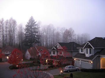 Seattle Suburbs, Suburb House, Seattle, Cabin, House Styles