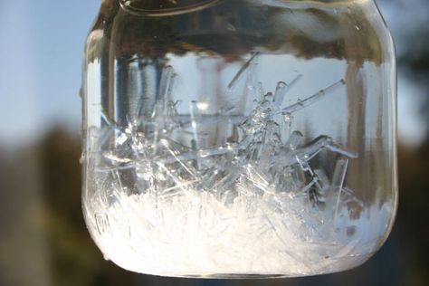 Grow a cupful of Epsom salt crystal needles in your refrigerator. It's quick, easy, and safe. The crystals grow in a couple of hours. Stones Fireplace, Grow Crystals, Science Art Projects, Borax Crystals, Stacked Stones, Growing Crystals, Fireplace Update, How To Make Crystals, Science Crafts