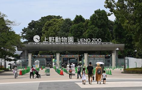 Ueno Zoological Gardens | Tokyo Attractions | Travel Japan | JNTO Tokyo Attractions, Tokyo Things To Do, Ueno Zoo, Japan Bucket List, Ueno Park, My Manifestation, Zoological Garden, Tokyo Shibuya, Zoo Keeper