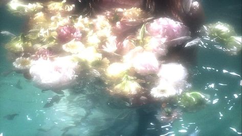 L Wallpaper, Water Aesthetic, Cocoppa Wallpaper, Dreamy Photography, Discord Banner, Nothing But Flowers, Pretty Landscapes, Japan Aesthetic, Cinematic Photography