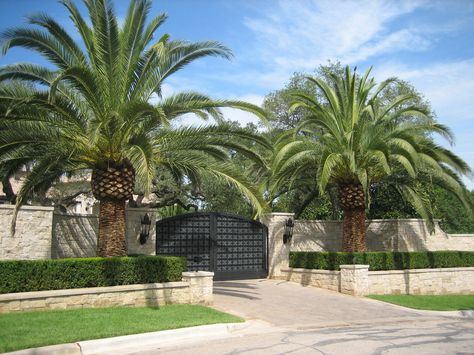 Spanish Driveway, Driveway Courtyard, House Front Garden, Front Garden Design Ideas, Courtyard Landscape, Spanish Colonial Homes, Lance Armstrong, Landscape Outdoor, نباتات منزلية