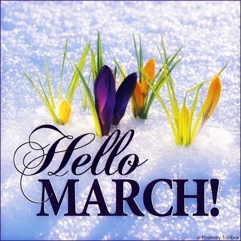 Phanney Diaries: HAPPY NEW MONTH: WELCOME TO THE MONTH OF MARCH Hello March Images, Hello March Quotes, March Images, Neuer Monat, March Quotes, February Wallpaper, Hello February, Seasons Months, Hello March