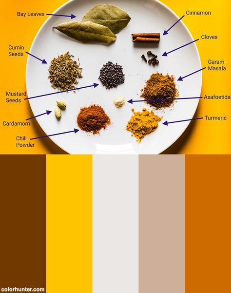 Indian Spices With Labels Color Scheme from colorhunter.com Food Color Scheme, Indian Color Palette, Indian Packaging, Food Colors Palette, Food Company Logo, Food Brand Logos, Logo Design Graphics, Paint Color Combos, Mt Pleasant Sc