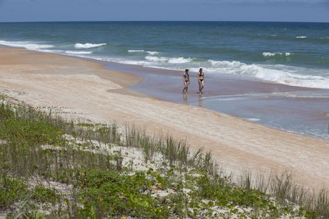 Ormond Beach Florida - Things to Do & Attractions in Ormond Beach FL Daytona Beach Boardwalk, Ormond Beach Florida, Blue Springs State Park, South Carolina Coast, Palm Beach Resort, Carolina Coast, Orlando Trip, Ocean And Beach, Florida Destinations