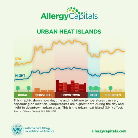 Ragweed Pollen Allergy Ragweed Allergy, Hay Fever Symptoms, Pollen Allergy, Allergy Shots, Chronic Sinusitis, Urban Heat Island, Allergic Rhinitis, Allergy Asthma, Extreme Weather Events