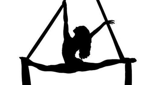 Aerial Silks Silhouette, Aerial Silks Drawing, Yoga Tree Pose, Yoga Tree, African American Art Women, Circus Makeup, Dance Photo Shoot, Aerial Acrobatics, Dancing Drawings