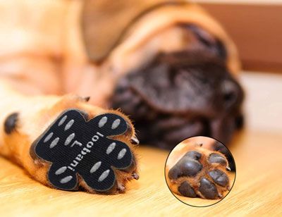 Dog Paw Protector | Protect your dog's paws safe from getting burned on hot pavement indoor or outdoor in all year all weather. Dog Igloo, Dog Paw Protection, Dog Cooling Pad, Paw Protector, Pampering Routine, Senior Dogs, Dog Information, Dog Socks, Dog Shoes