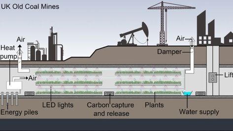 Abandoned coal mines across the UK could be brought back to life as huge underground farms, according to academics.Mine shafts and tunnels are seen as "the perfect environment" for growing food such as vegetables and herbs.The initiative is seen as a way of providing large-scale crop production for a growing global population.Advocates say subterranean farms could yield up to ten times as much as farms above ground.President of the World Society of Sustainable Energy Technology, Prof Saf Underground Farm, Air Raid Shelter, University Of Nottingham, Crop Production, Global Population, Vertical Farming, Geothermal Energy, Urban Farm, Energy Technology